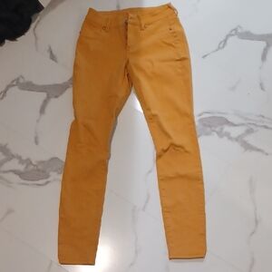 Maurices Golden Yellow Pants